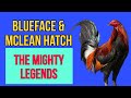 BLUEFACE & MCLEAN HATCH || ORIGIN & TRAITS