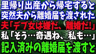 【スカッとする話】 里帰り出産から帰宅すると突然、夫「お前みたいなデブとは離婚だ！」と離婚届を渡された。私「そう、奇遇ね、私も…」→記入済みの離婚届を渡した結果