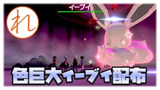 【ポケモン剣盾】色違いキョダイ♀イーブイレイド【初見歓迎】