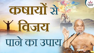 कषायों से विजय पाने का उपाय | 01 February 2023 | Mangal Pravachan | Muni Pramansagar ji