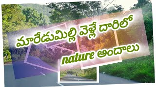 మారేడుమిల్లి అందాలు||  Eastgodavari touristattraction || #maredumilli #andhrapradesh #tourism