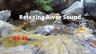 Relaxing River Sound | Peaceful Forest River | Best relaxing video | HD 4K