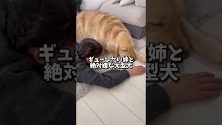 ギューしたい姉と絶対嫌な大型犬#ゴールデンレトリバー #ゴールデンレトリバーのいる生活 #dog #大型犬のいる生活 #大型犬と子供