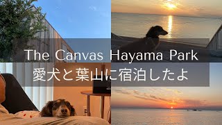 葉山｜愛犬と泊まれる【The Canvas Hayama Park】