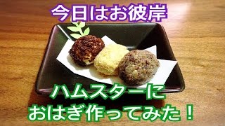 今日はお彼岸！ハムスターにおはぎ作ってみた♪Japanese Confectionery（Ohagi) For Hamster!!