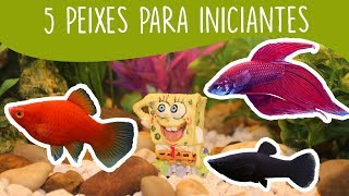 TOP 5 Peixes mais fáceis para INICIANTES