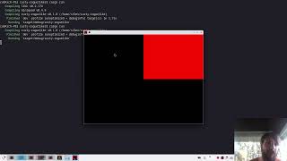 Hello World! Basic Rendering in Rust with Miniquad | Rusty Roguelike Part 1