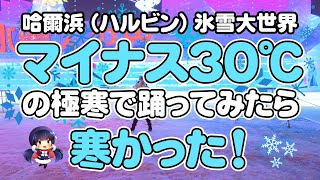 【マイナス30度で】好き！雪！本気マジック　踊ってみた【サビだけ】