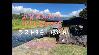 ラスト3日～8月29日知内川オートキャンプ場で小鮎釣りしてみます。釣れ釣れ具合をお届けします。https://youtu.be/xVnW4JHgyB0