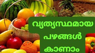 വ്യത്യസ്തമായ പഴങ്ങൾ കണ്ടു നോക്കൂ #Veriety frruits #food