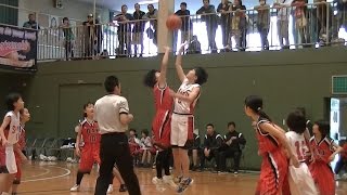 宮本シャインズ vs リンクス 前半