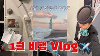 [비행일기]새해가 돼도 열심히 비행하는 비행 개미의 48시간 1월 비행 Vlog🐜✈️/승무원 브이로그/외항사 승무원/외항사 승무원 브이로그/승무원 일상/사우디 승무원/비행 브이로그