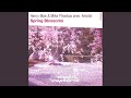 Spring Blossoms (Radio Edit)