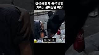 야생곰에게 습격당한 가족이 살아남은 이유