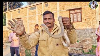 ऐसा मंजर बहुत कम देखने को मिलता है सांप को देख कर सब लोग हैरान थे #jaysahni #cobrasnake #viral #chor