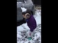 雪遊び スローモーション編