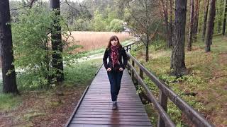 Echo Ponds in Zwierzyniec - the climate change effects