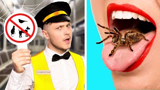 기차에몰래애완동물데려가는방법! GOTCHA의재밌는상황& 최고의DIY 밀반입아이디어