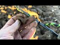 the field of dreams metaldetecting detectingwearuk treasurehunting viral_video fyp trending