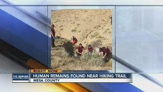 Human remains found near hiking trail