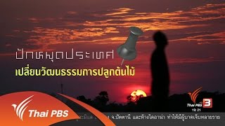 พลิกปมข่าว : ปักหมุดประเทศ เปลี่ยนวัฒนธรรมการปลูกต้นไม้ (9 พ.ค. 60)