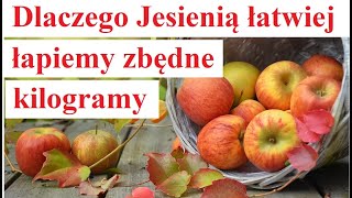 Dlaczego Jesienią łatwiej łapiemy Zbędne Kilogramy