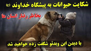 سبحان الله - اسرار مرموز و شگفت انگیز که خداوند (ج) به حیوانات داده است ! | ISA TV