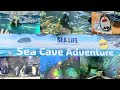 【亲子】Sea Life Kelly Tarlton’s 海洋馆。看木偶戏，遇到了喜欢宝宝汽车的企鹅，观看潜水员喂食，充实的一天，满满的活动！