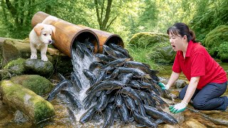 Harvesting Giant Catfish & Go To Market Sell - How to Girl is Fishing on Rivers and Lakes