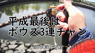 平成最後はボウズ3連チャン