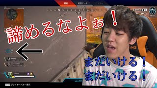 【APEX】早すぎる諦めを見逃さないよしなま【2020/08/02】