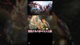 たまたまドラゴンその2【モンスターハンターライズ】