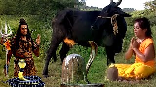 नन्हे शिव भक्त की गाय ने शिवलिंग पर अर्पित किया दूध | #MaaShakti