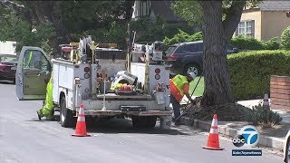 LA DWP fixing water leak caused by city tree days after complaint | ABC7