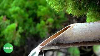 Satisfying Bamboo Water Fountain With Birds Chirping: Spa Music, Massage Music, Relaxing Music