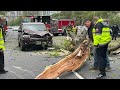 Massive tree falls on Lake Shore Drive, crushing cars | ABC7 Chicago