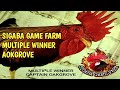 SIGABA GAME FARM 