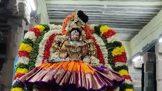 Sri Aravamudhan Komalavalli Thayar Kalyana Uthsavam (5)