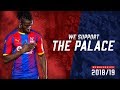 Selhurst Park | The Fans