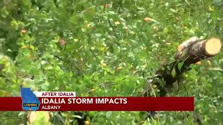 Hurricane Idalia leaves downed trees in some parts of Dougherty Co.