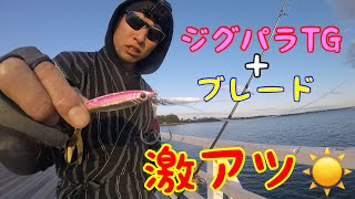 【ジグパラTGで黄金魚】 珍しい大物がきてしまった【ライトショアジギング】On the Pier Shore jigging at Shorncliffe