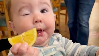 Best Videos of Cute Babies Eating Lemons for the first tome part to of 2022 -  Try Not to laugh