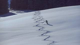 Flöschhore 2079m Skitour 13.02.2018