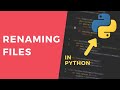 Renaming files - 1 Minute Python Tutorial #shorts