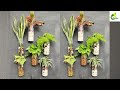 easy eco friendly water garden low maintenance water garden tutorial water plants organic garden