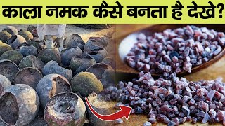 देखिये फैक्ट्री में काला नमक कैसे बनता है लाइव। Kala Namak Kaise banta hai | Black Salt Making