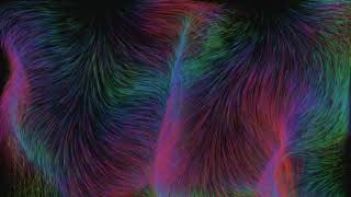 Streamers in Vector Field animation