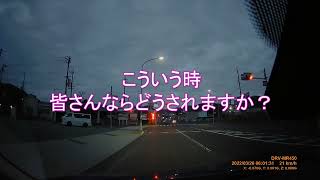 【衝突注意】青信号なのに動かない…変だと思い運転席を覗いてみたら…平和な光景が広がっていました(笑)（音量注意）