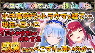 【噛み合っている】違うからこそ互いに尊敬し合うぺこマリが強い【宝鐘マリン/兎田ぺこら/ホロライブ】