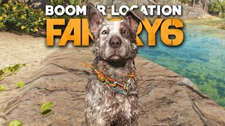 Far Cry 6 Boomer Location - How To Get Boom Boom